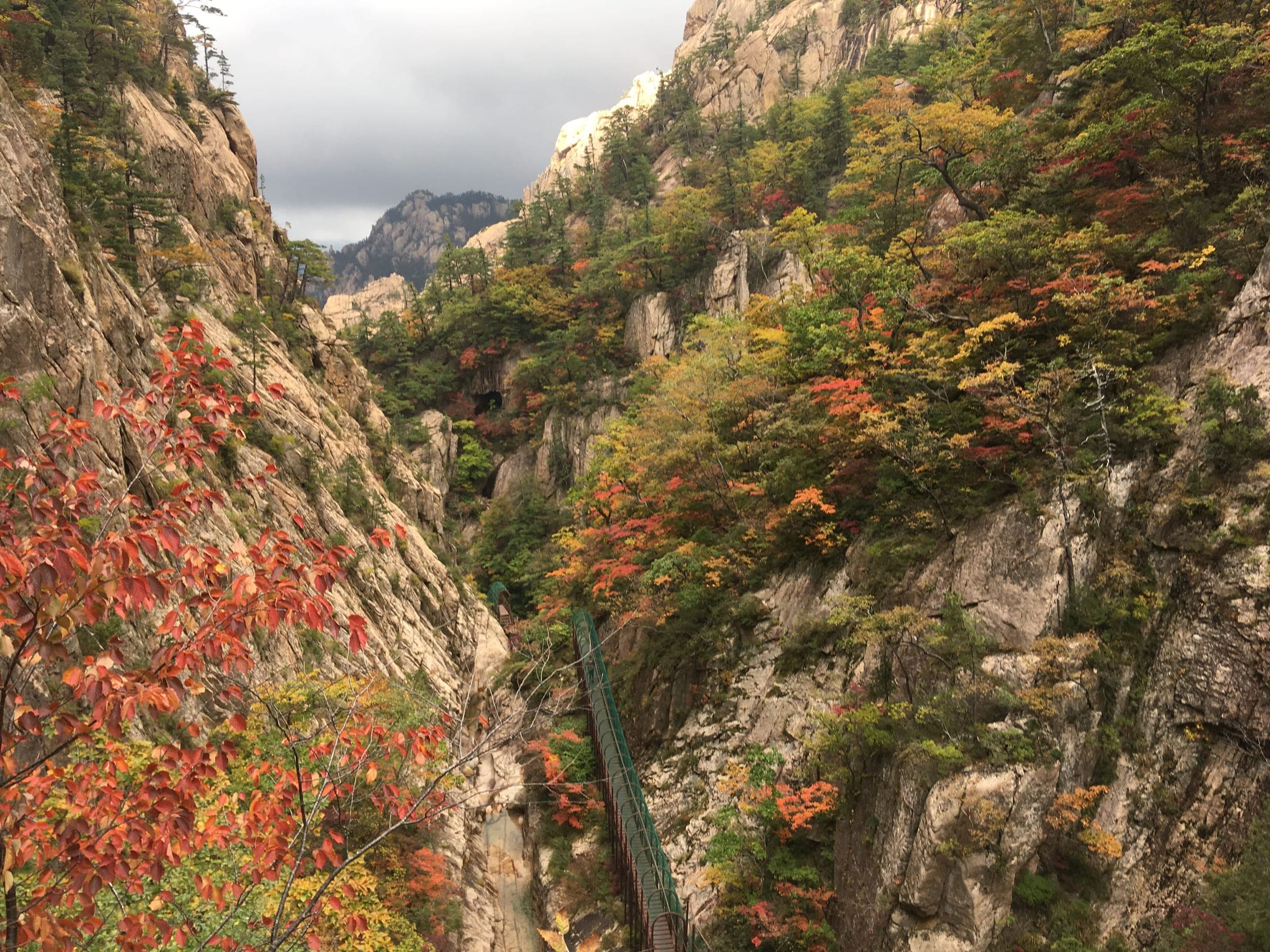 Red and orange leaves on the steep granite walls of a gorge in Seoraksan National Park