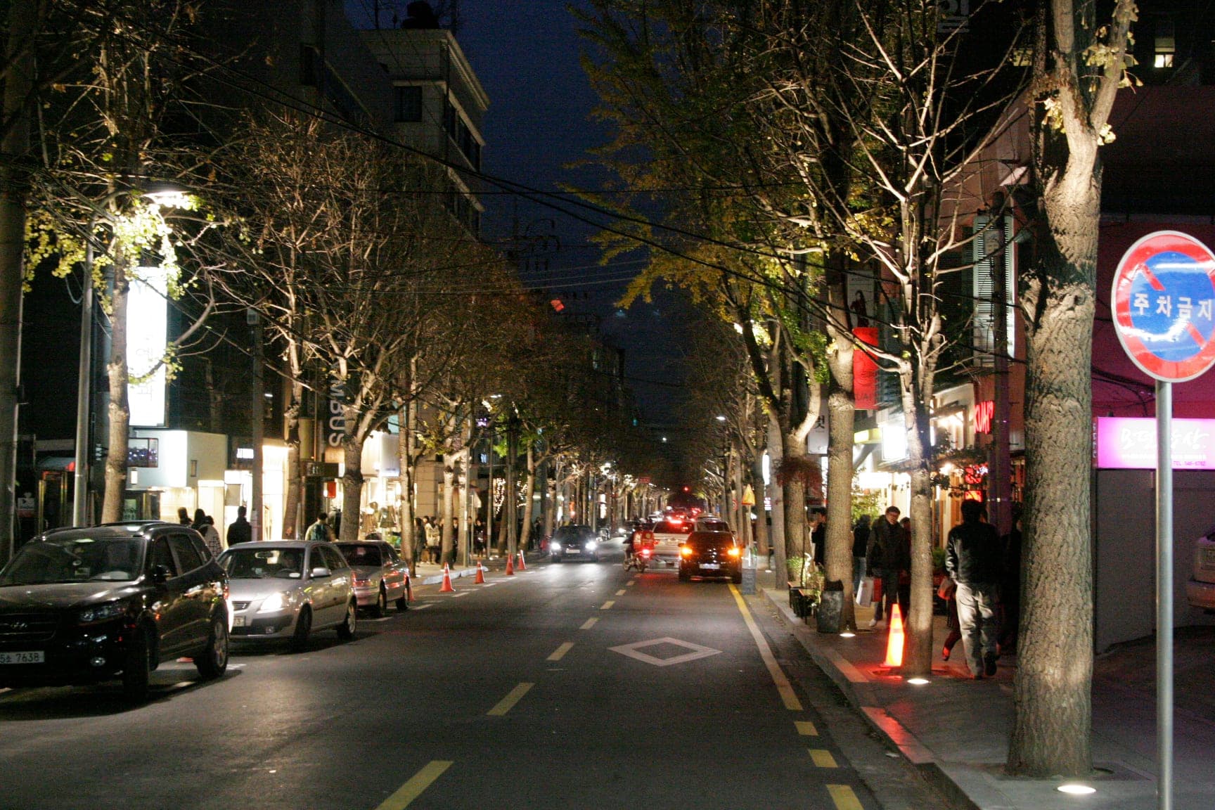 Lit shopfronts and ginkgo trees along Garosu-gil in Sinsa-dong, Gangnam, in the evening